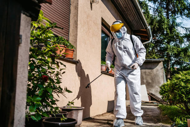 Best Pest Removal Services  in Pine Castle, FL