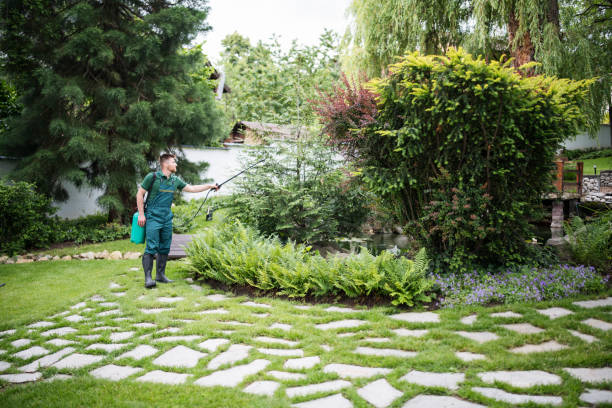 Best Pest Prevention Services  in Pine Castle, FL