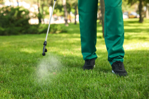 Pest Control Cost in Pine Castle, FL