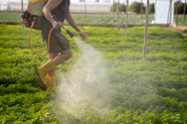 Best Residential Pest Control  in Pine Castle, FL