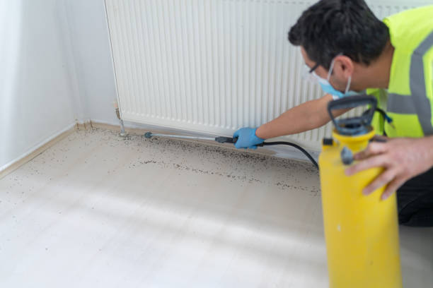 Reliable Pine Castle, FL Pest Control Solutions